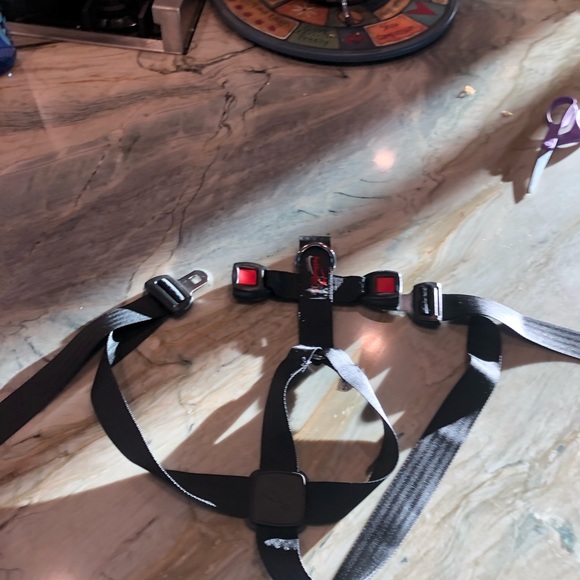 Pet Buckle for car - Picture 4 of 4